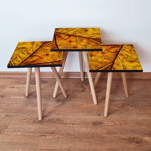 Hanah home Set 3 stočića 3Shp105 Multicolor Cene