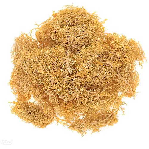 Prirodna mahovina 30 g | oker Slike