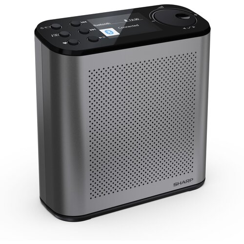 Sharp Prenosni DAB radio OSAKA DR-P530 GY Cene