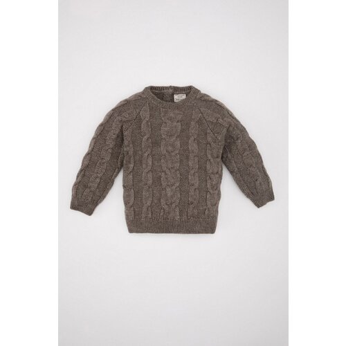 Defacto baby Boy Crew Neck Sweater Slike