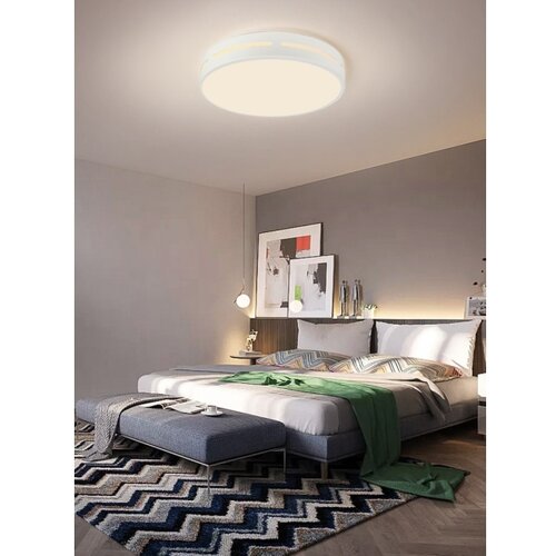  Immax NEO 07153-W40 - LED prigu&amp;scaron;iva svetiljka PERFECTO 24W/230V Wi-Fi Tuya + daljinski upravljač Slike