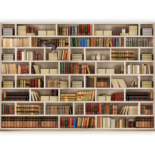  Foto tapeta - Home library 200x140 Cijene