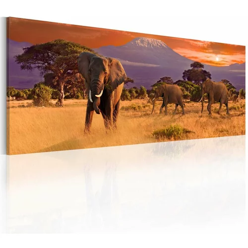  Slika - March of african elephants 120x40