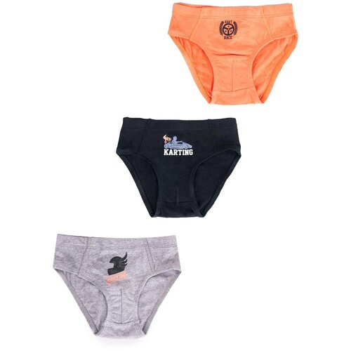 Yoclub gaće za dečake Cotton Underwear 3-pack BMC-0028C-AA30-002 Slike