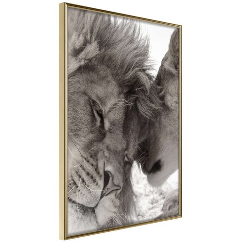  Poster - Predatory Couple 40x60 Slike