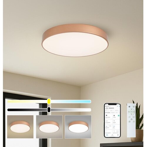  Brilagi-LED prigu&amp;scaron;iva svetiljka POOL SMART LED/60W/230V 50 cm Wi-Fi Tuya bronza + daljinski upravljač Slike