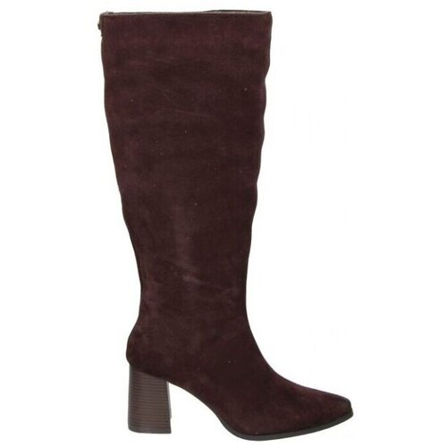 MTNG &amp;Scaron;kornji 55473 Kostanjeva Slike