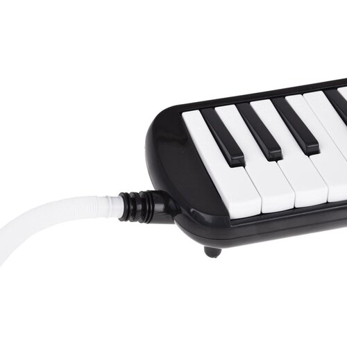  Muzikalni instrument, melodijska klavijatura s harmonikom, kutija i dva nastavka Slike