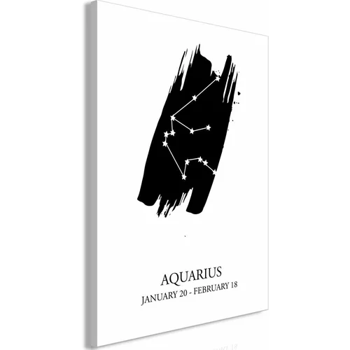  Slika - Zodiac Signs: Aquarius (1 Part) Vertical 40x60