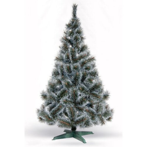  Novogodišnja jelka bor sa belim vrhom Cene