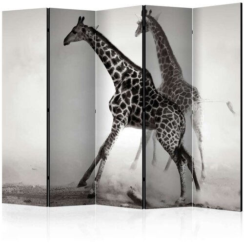  Paravan u 5 dijelova - Giraffes II [Room Dividers] 225x172 Slike