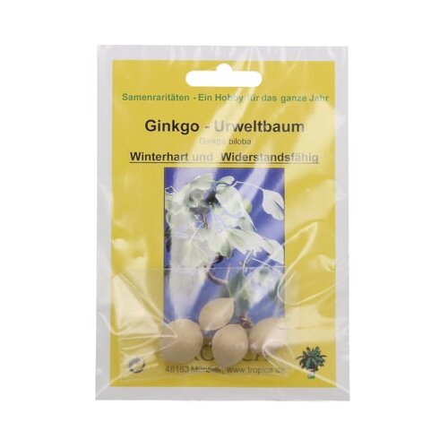 TROPICA Ginkgo - prvotno drevo Cene