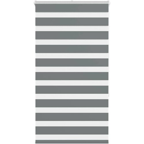 vidaXL Zebra senčilo temno sivo 75x150 cm tkanina širina 70,9 cm Cene