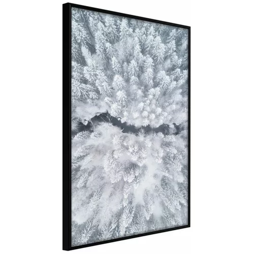  Poster - Winter Forest From a Bird's Eye View 20x30