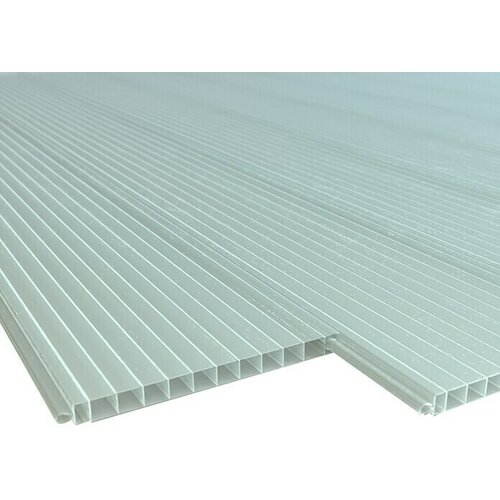  Panel z votlo komoro (250 cm x 20 cm x 16 mm, Polikarbonat, Opal) Cene