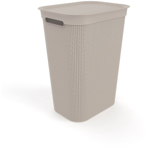 Rotho bež plastična ko&amp;scaron;ara za rublje 50 l brisen - rotho Slike