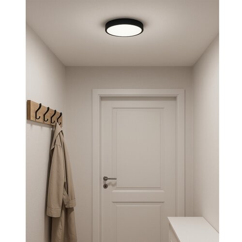  LED plafonsko svetlo LED/24W/230V 3000/4000/6500K pr. 30 cm crna Slike