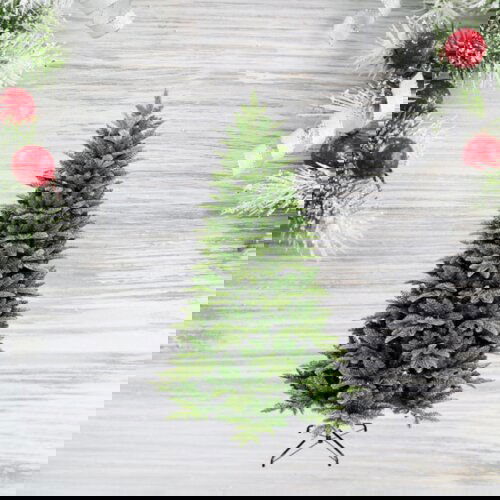 Olimp Sport Novogodišnja jelka Tara - visine 120 cm 190032 Cene