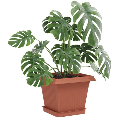  Saksije za biljke 24 pcs Crvena cigla 20 x 20 x 16 cm Plastika Slike