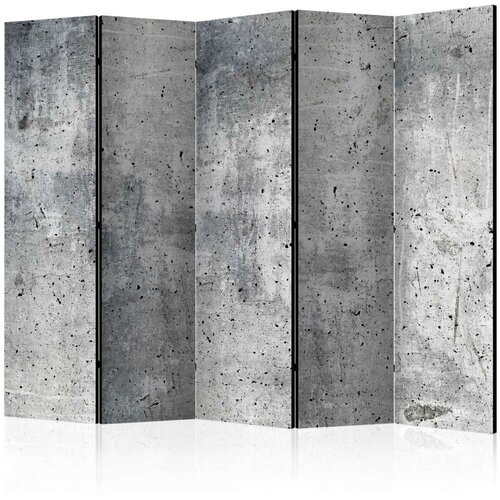  Paravan u 5 dijelova - Fresh Concrete II [Room Dividers] 225x172 Slike
