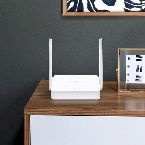  300Mbps Multi-Mode Wireless N Router