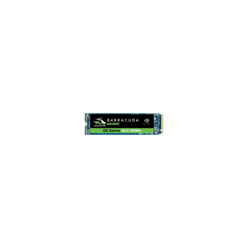 SSD Client – ZP1000CV3A001