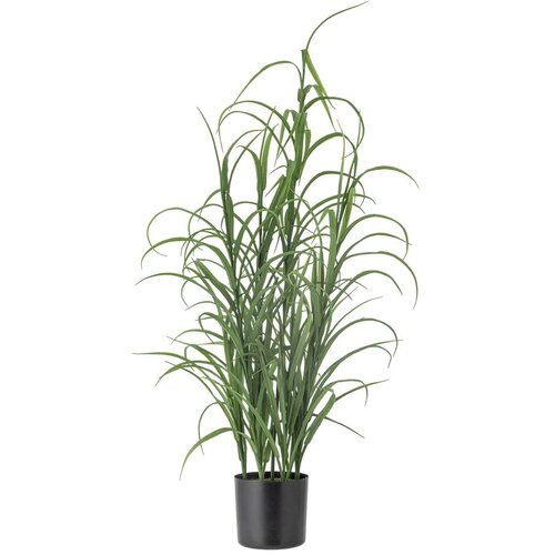 Bloomingville Umetna trava (višina 92 cm) Grass – Cene