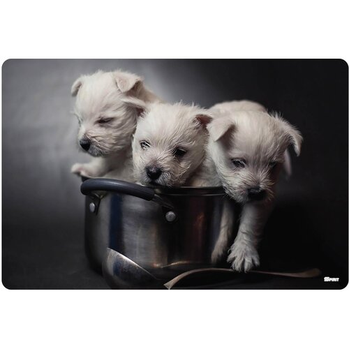 Tts Stona mapa 60×40 Puppies Cijene