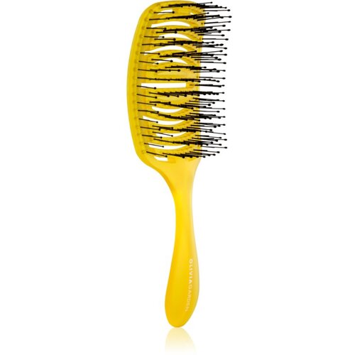 Olivia Garden iDetangle Pride ravna četka Orange Cene