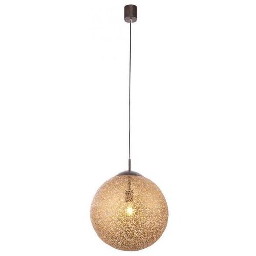 PAUL NEUHAUS 2421-48 - Luster na sajli GRETA 1xE27/60W/230V Slike