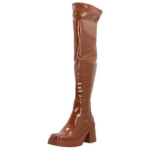 Steve Madden SEASONS Smeđa Cijene