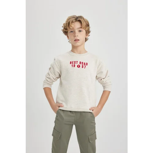 Defacto Boy's Crew Neck Printed Thick Sweatshirt