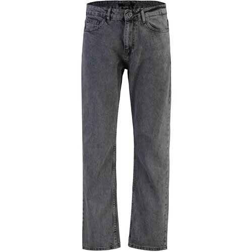 Trendyol Gray Men's Regular Fit Jeans Cene