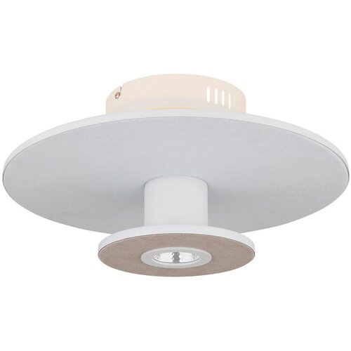 Globo STROPNA LED-SVETILKA //3000 K/230 V/ Slike