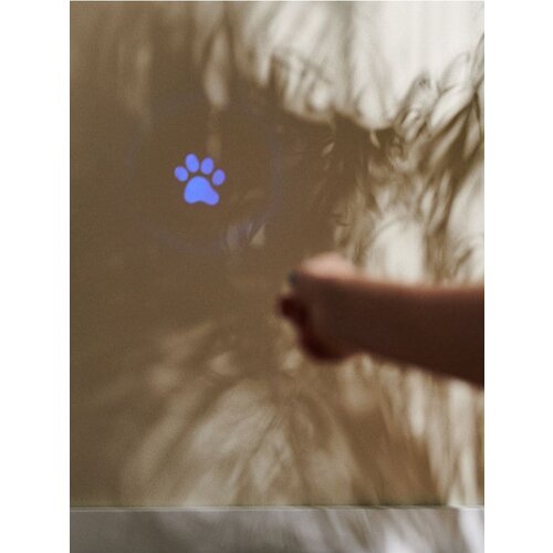 Sinsay Igračka za mačku Cijene