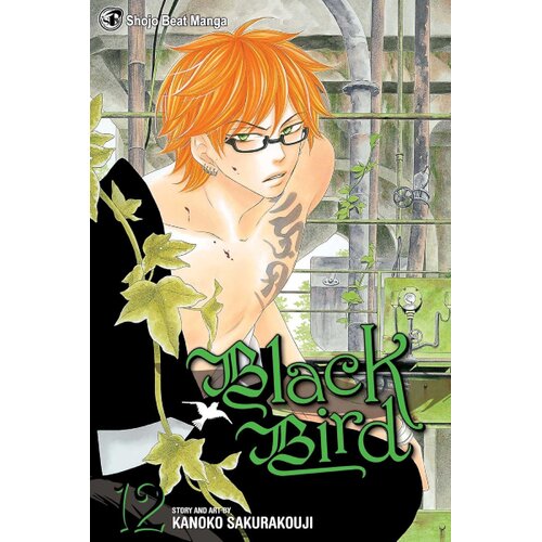 Harper Collins Publishers Ltd Kanoko Sakurakoji - Black Bird, Vol. 12 Cene