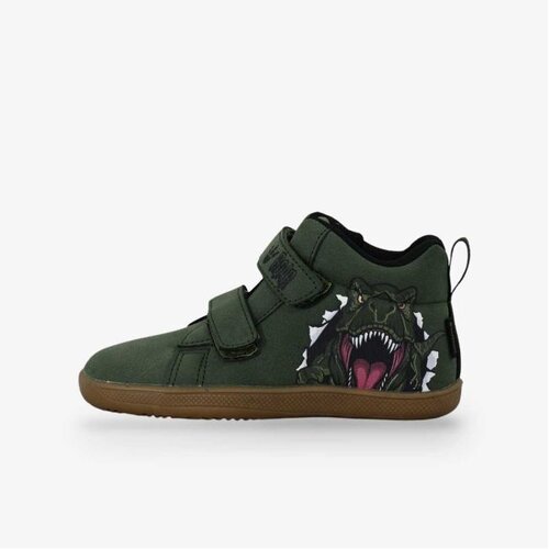 BDS Dinosaur Cene