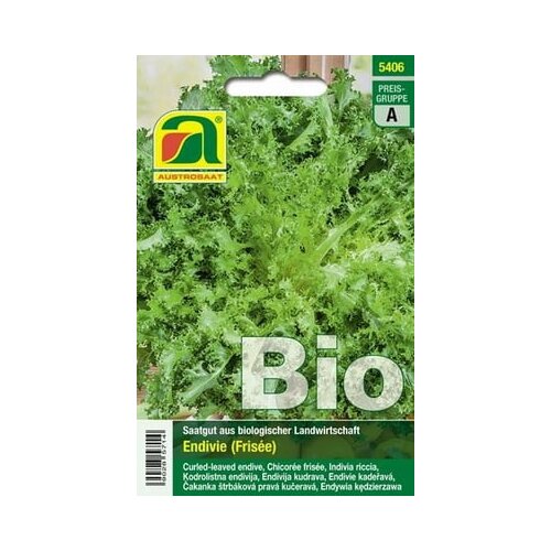 AUSTROSAAT Bio endivija Wallone (Frisée) Cene