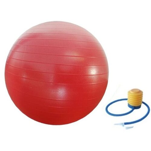 Lopta Za Pilates Ø 55 Cm Cene