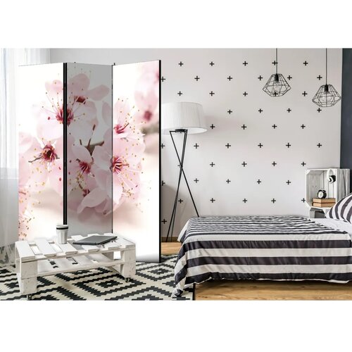  Paravan - Cherry Blossom 135x172 Cene
