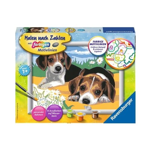  Slikanje po številkah - Pasja mladička Jack Russel Cene