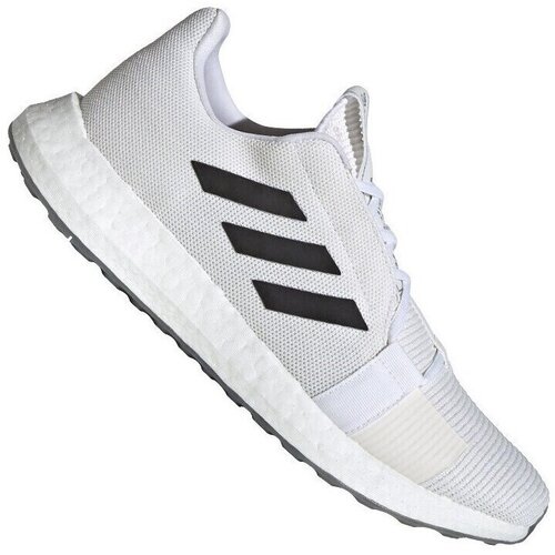 Adidas Tek & Trail Senseboost GO pisana Cene