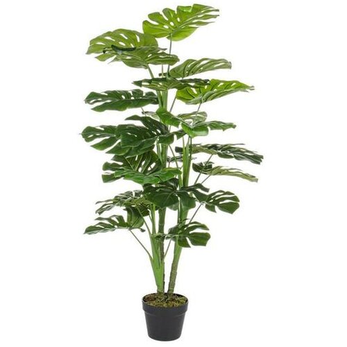  CVIJEĆE FILODENDRON 120CM U SAKSIJI 0172387 Cijene