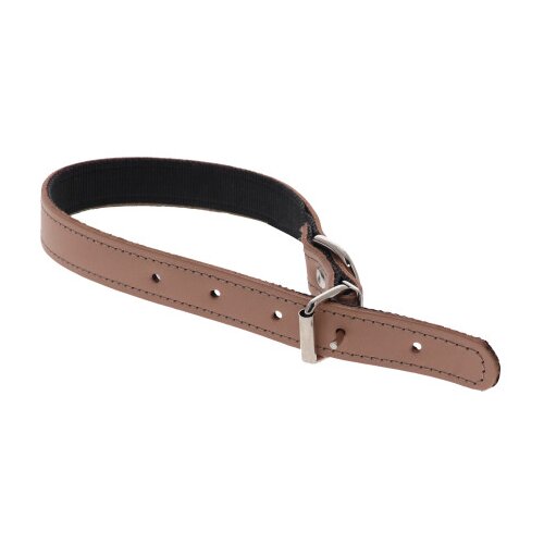 Master Ogrlica kožna za psa 25 sa grutnom 2005 Slike