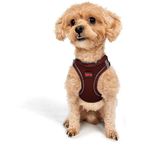 Paws & Whiskers Am za pse Air-Mesh, bordo Cene