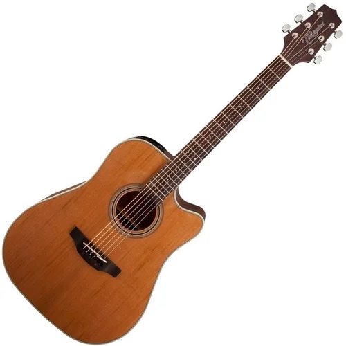 Takamine GD20CE Natural Satin