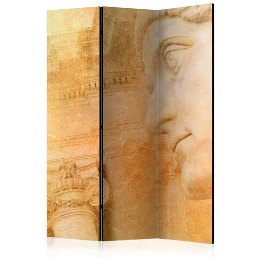  Paravan u 3 dijela - Greek God [Room Dividers] 135x172