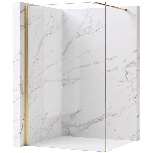 Rea Stena za prhanje Flexi Transparent / Brush Gold 70 Cene