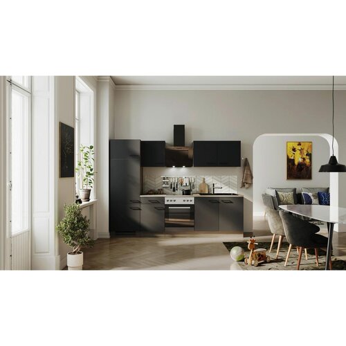 Flex-Well Kuhinjski Blok Z Aparati Capri, Črna, Barva Hrasta Cene