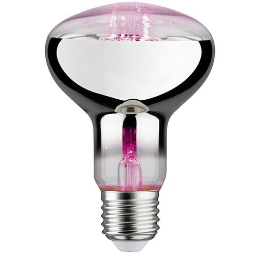 PAULMANN led žarulja (E27, 6,5 w, R80, 200 lm) Slike